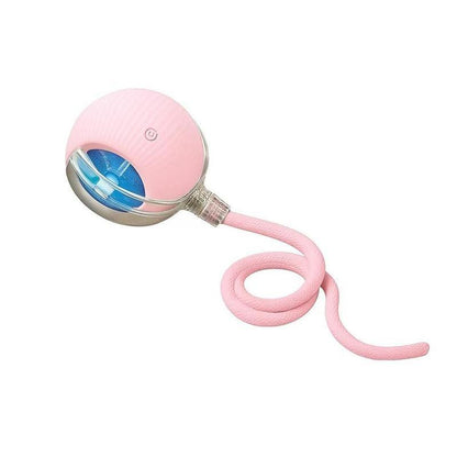 Exciting Interactive Cat & Dog Teaser Toy with Two Tails - Safe and Fun Playtime for Your Pets!