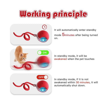 Exciting Interactive Cat & Dog Teaser Toy with Two Tails - Safe and Fun Playtime for Your Pets!